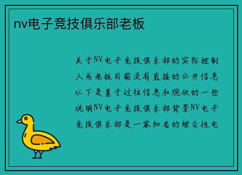 nv电子竞技俱乐部老板